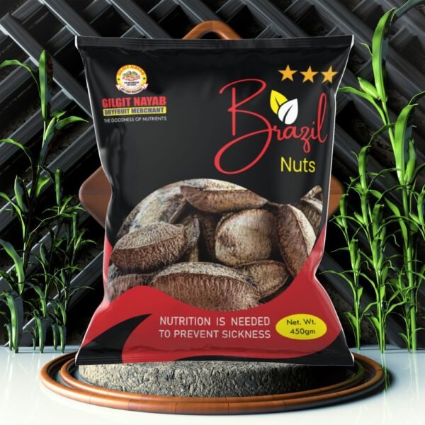 Premium Brazil Nuts With Shell